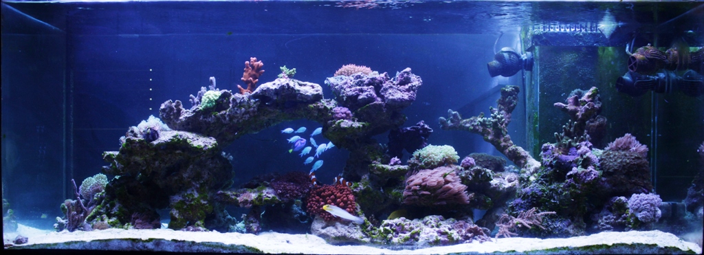 Foto Aquarium